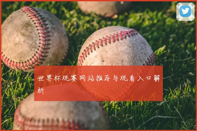 世界杯观赛网站推荐与观看入口解析