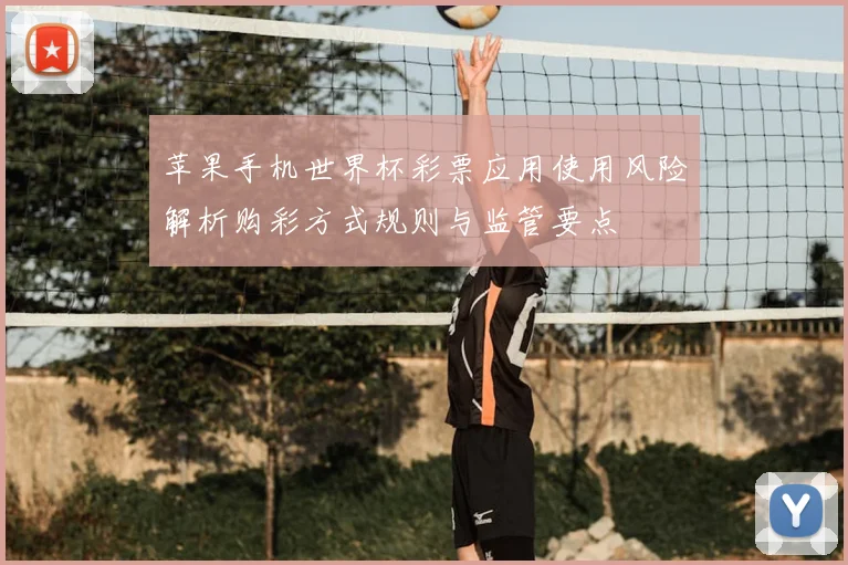 苹果手机世界杯彩票应用使用风险解析购彩方式规则与监管要点
