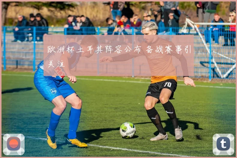 欧洲杯土耳其阵容公布 备战赛事引关注