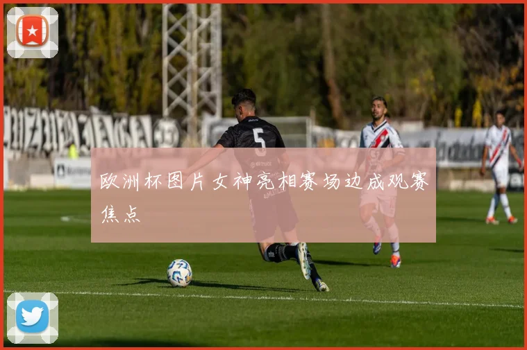 欧洲杯图片女神亮相赛场边成观赛焦点