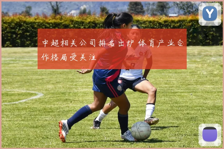 中超相关公司排名出炉 体育产业合作格局受关注