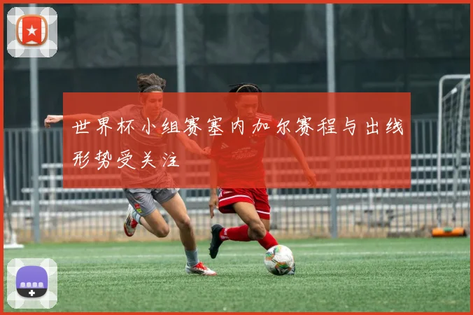 世界杯小组赛塞内加尔赛程与出线形势受关注