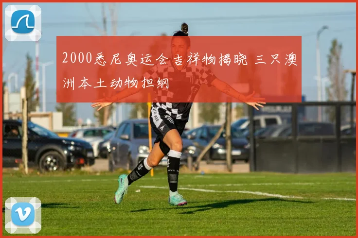 2000悉尼奥运会吉祥物揭晓 三只澳洲本土动物担纲