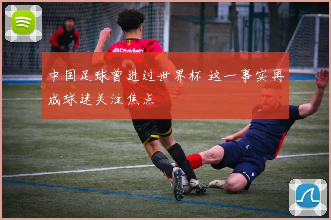 中国足球曾进过世界杯 这一事实再成球迷关注焦点